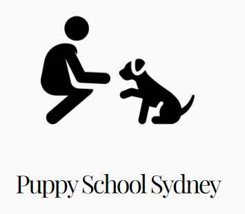 puppy dog training